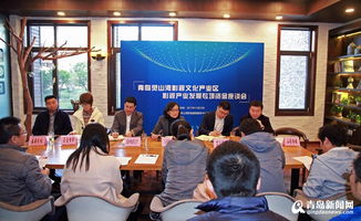 靈山灣影視企業(yè)獲2042萬(wàn)影視專項(xiàng)資金