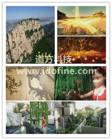 道方科技提供專業團隊優質影視制作服務